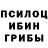 Галлюциногенные грибы Cubensis GOVNYUG