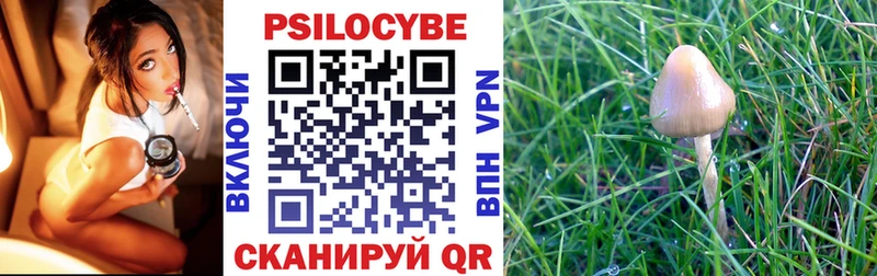 купить наркоту  omg рабочий сайт  Псилоцибиновые грибы MAGIC MUSHROOMS  Мензелинск 